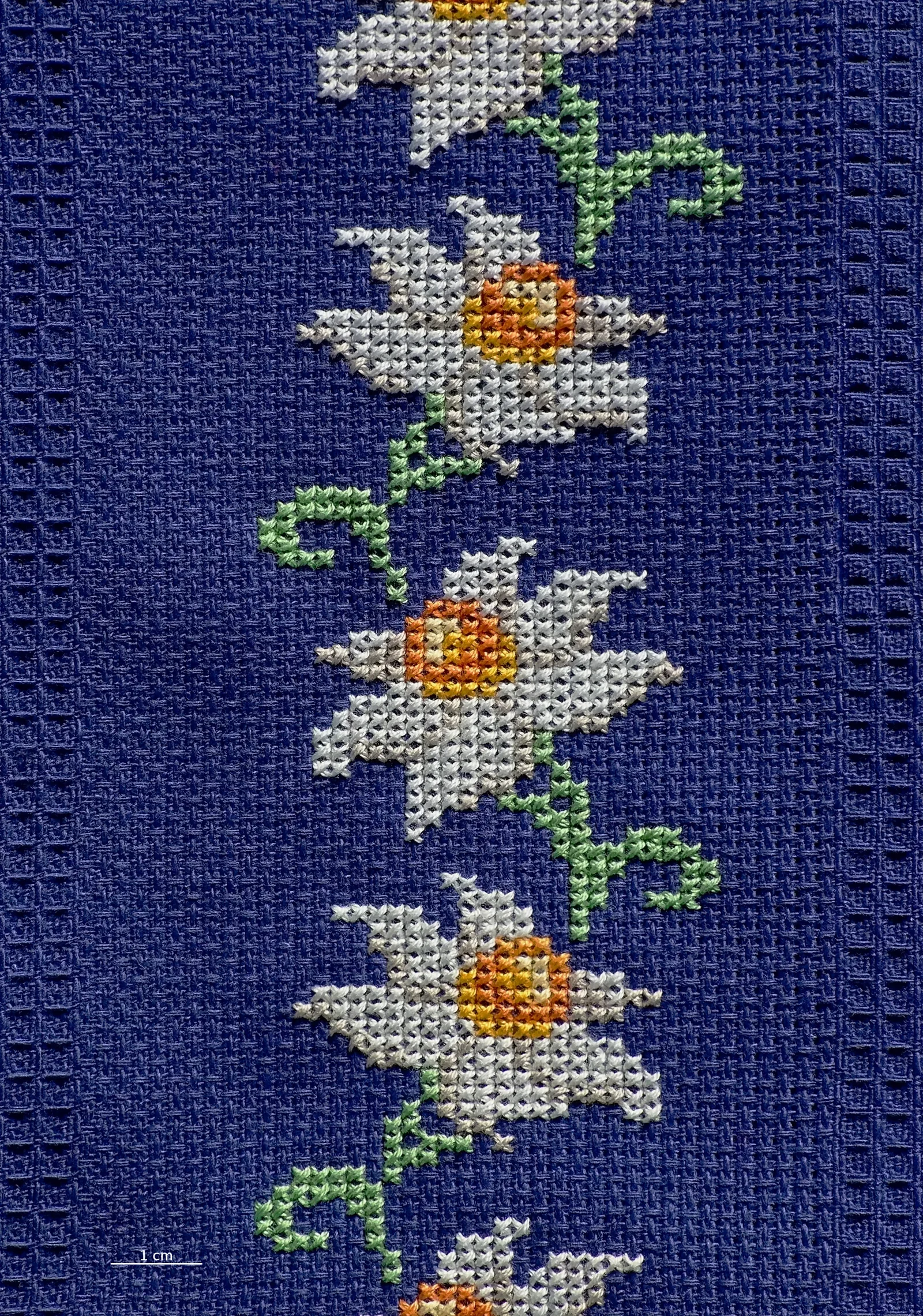 Broderie Assisi 2026 : la technique italienne au fond brodé