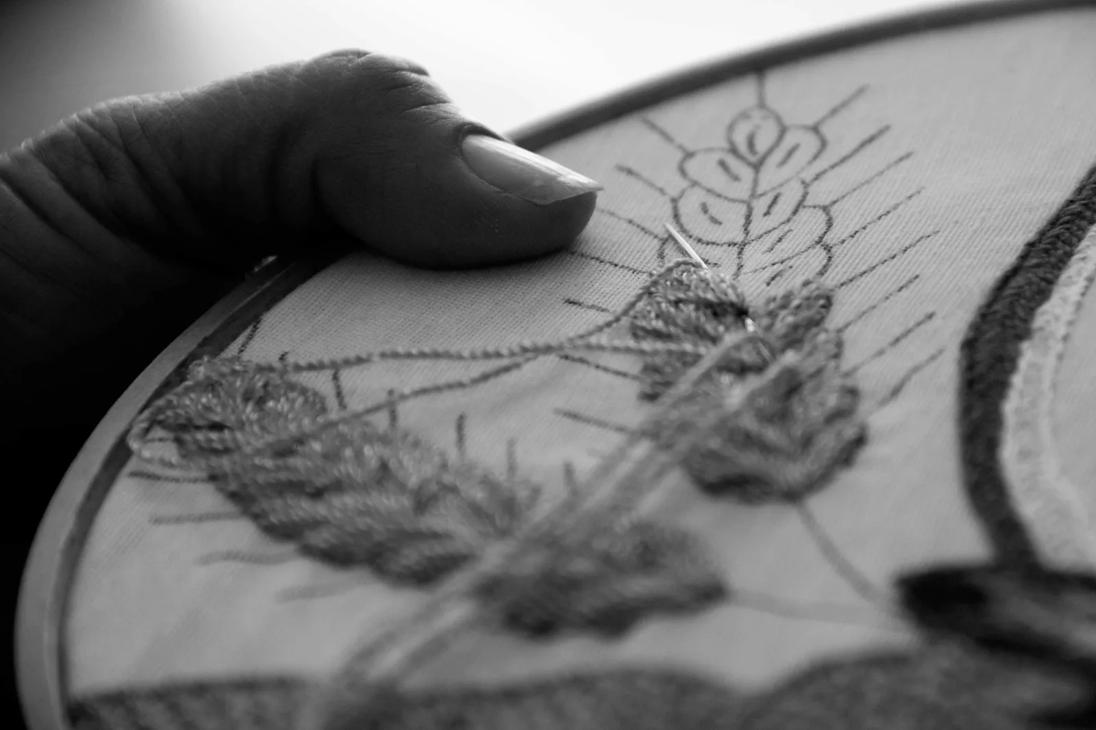 geste technique de broderie sur cerceau en bois, point végétal sur lin