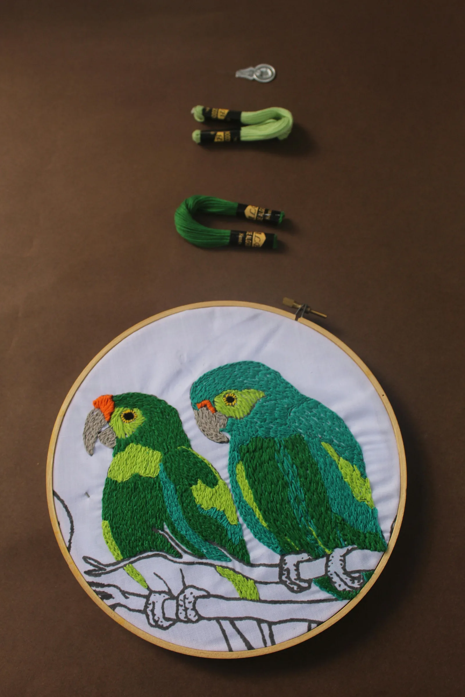 Cerceau de broderie avec oiseaux brodés en couleurs vives, fils DMC visibles au dessus
