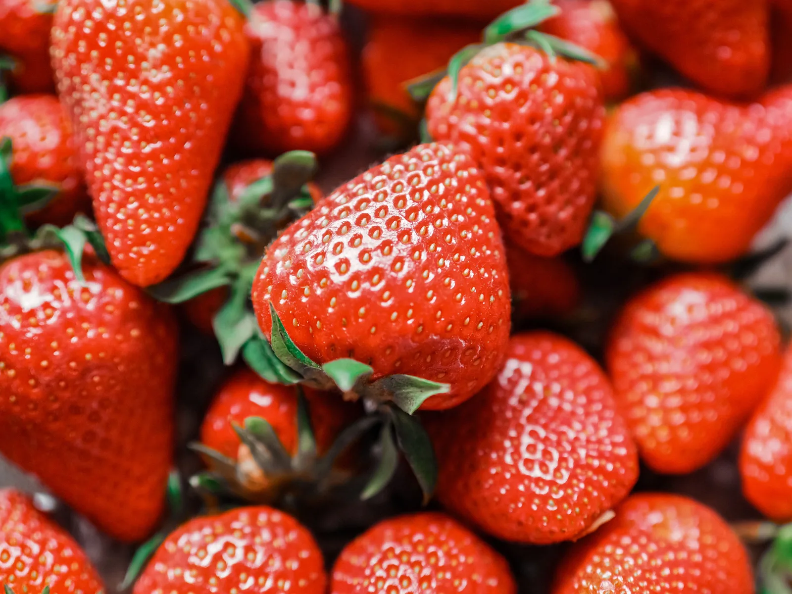 Grille point de croix fraise 2026 : motif fruits rouges d'été gratuit
