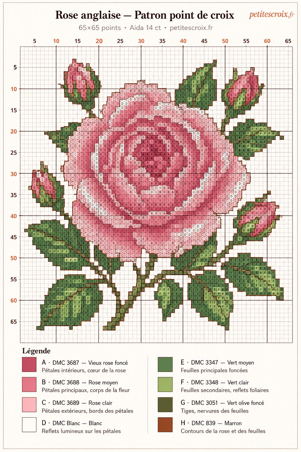 Grille point de croix rose anglaise — patron coussin 65×65 points, 8 couleurs DMC