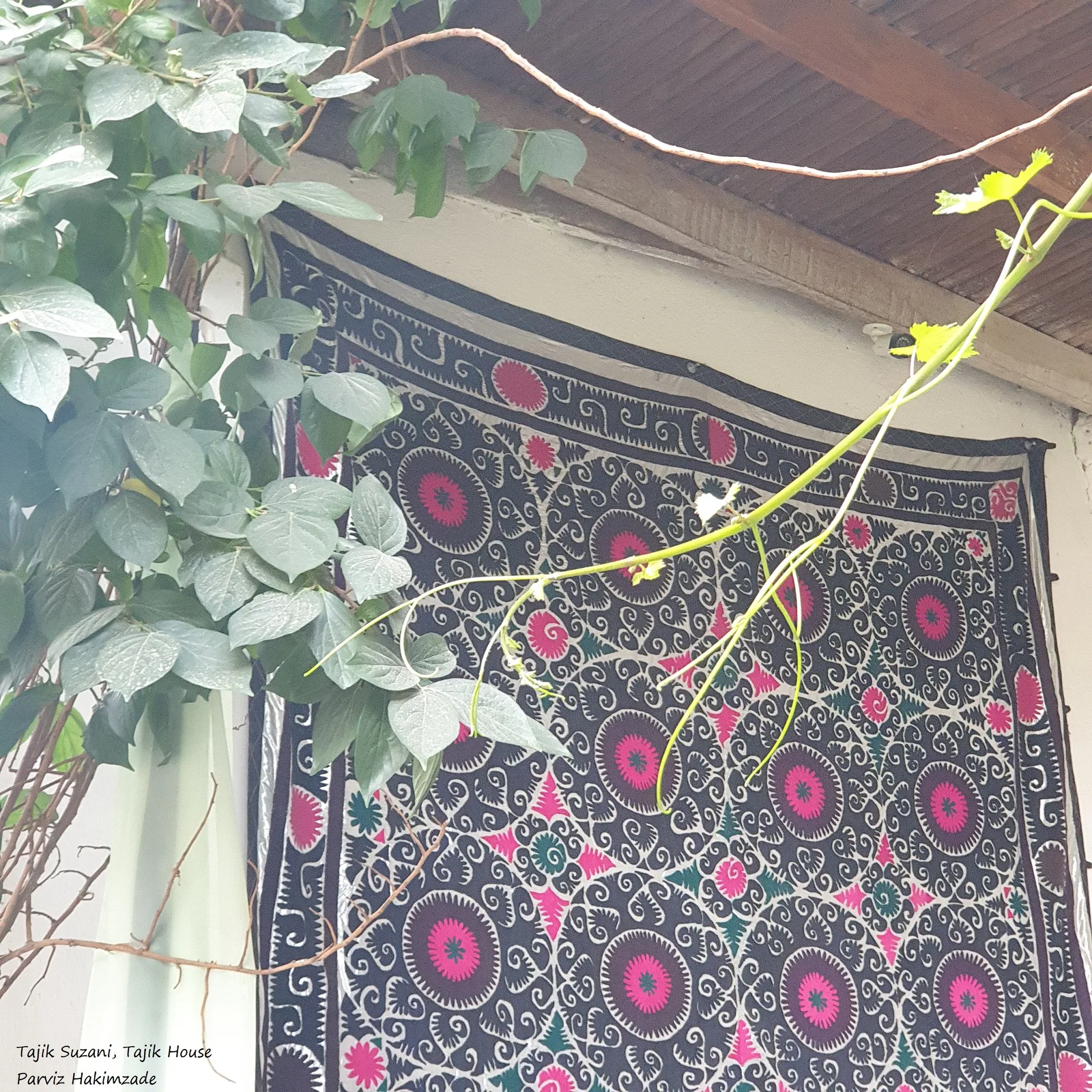 Tapisserie suzani tadjike brodée tendue en extérieur — grands motifs circulaires sur fond marine avec broderie rose et ivoire